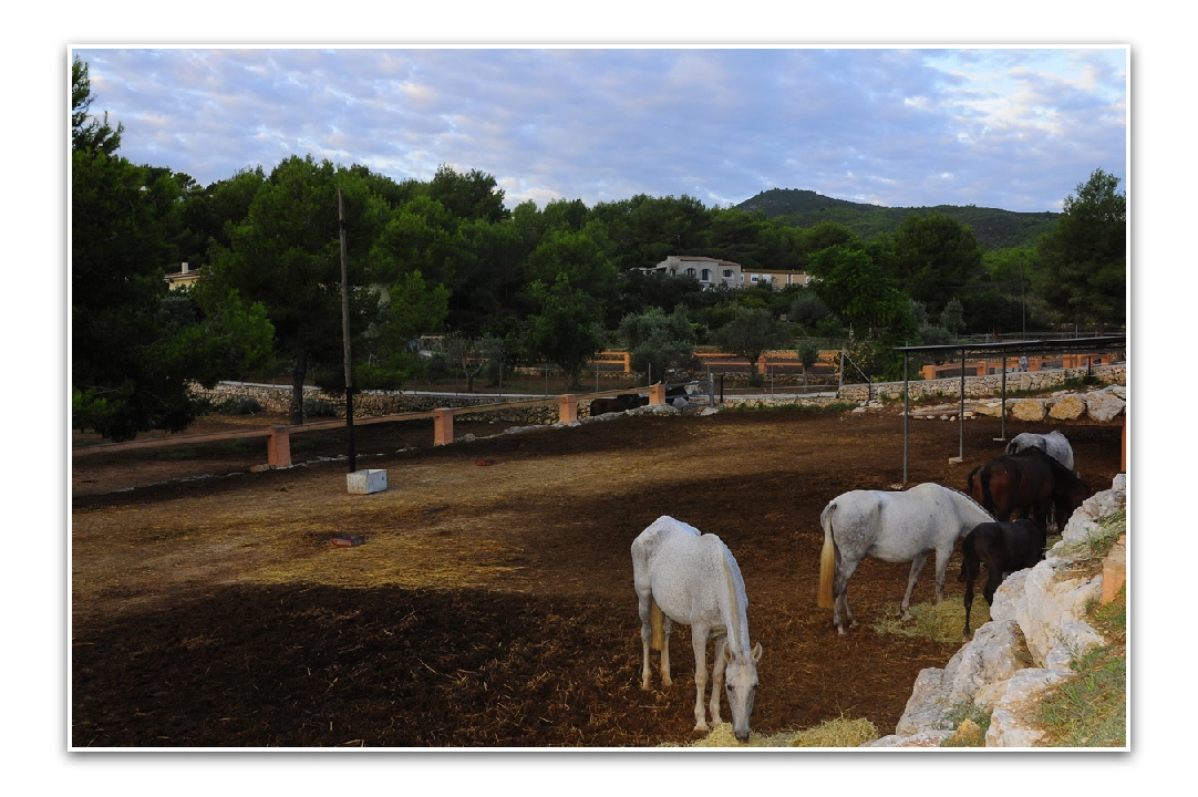 villa in Javea for sale, built area 420 m², air-condition, plot area 18000 m², 5 bedroom, 3 bathroom, swimming-pool, ref.: PR-PPS1295-20