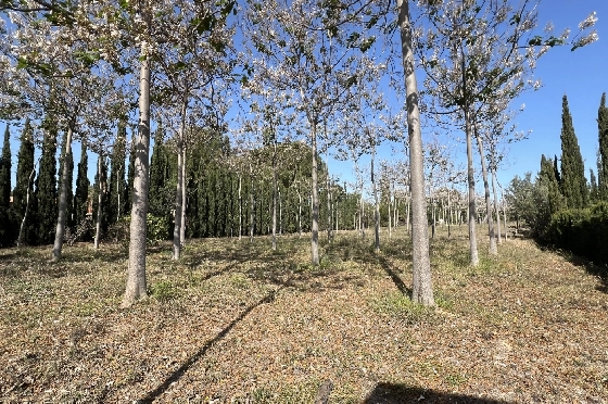 Finca in Pedreguer zu verkaufen, Wohnfläche 400 m², + KLIMA, Grundstück 12000 m², 2 Schlafzimmer, 2 Badezimmer, ref.: JS-0624-12