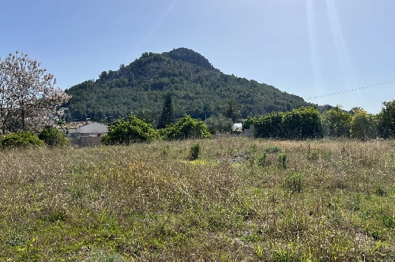 Finca in Pedreguer zu verkaufen, Wohnfläche 400 m², + KLIMA, Grundstück 12000 m², 2 Schlafzimmer, 2 Badezimmer, ref.: JS-0624-15