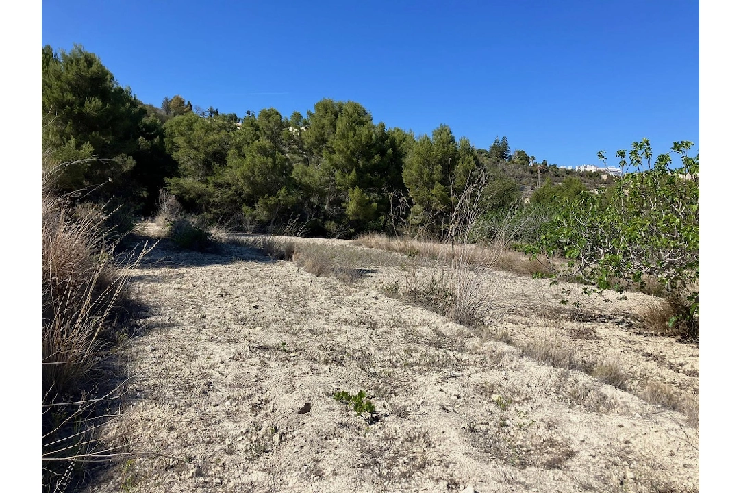 residential ground in Benissa(Benissa) for sale, plot area 10894 m², ref.: CA-G-1771-AMB-13