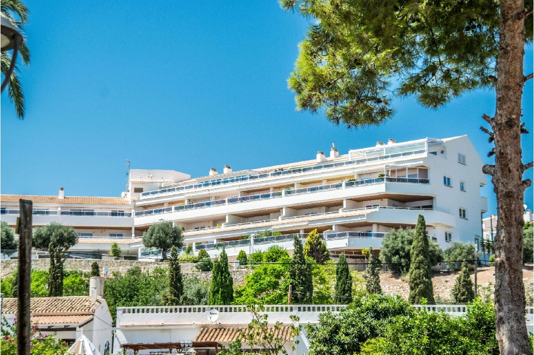 apartment in Altea(Casco Antiguo) for sale, built area 87 m², 2 bedroom, 2 bathroom, swimming-pool, ref.: AM-1234DA-3700-2