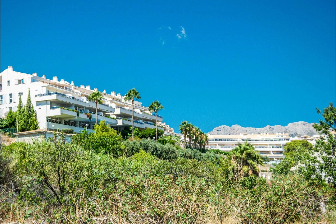 apartment in Altea(Casco Antiguo) for sale, built area 87 m², 2 bedroom, 2 bathroom, swimming-pool, ref.: AM-1234DA-3700-5