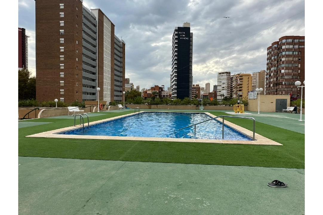 apartment in Benidorm(Avenida del Mediterraneo) for sale, built area 63 m², air-condition, 1 bedroom, 1 bathroom, swimming-pool, ref.: COB-13065-10535-10