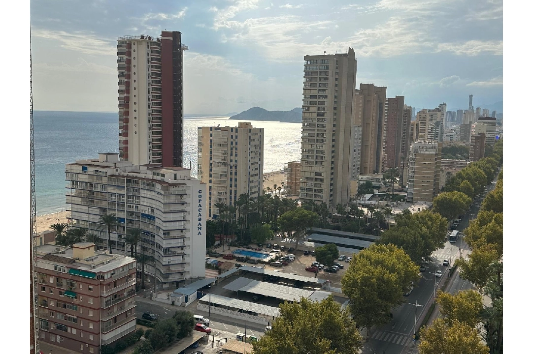 apartment in Benidorm(Avenida del Mediterraneo) for sale, built area 63 m², air-condition, 1 bedroom, 1 bathroom, swimming-pool, ref.: COB-13065-10535-2