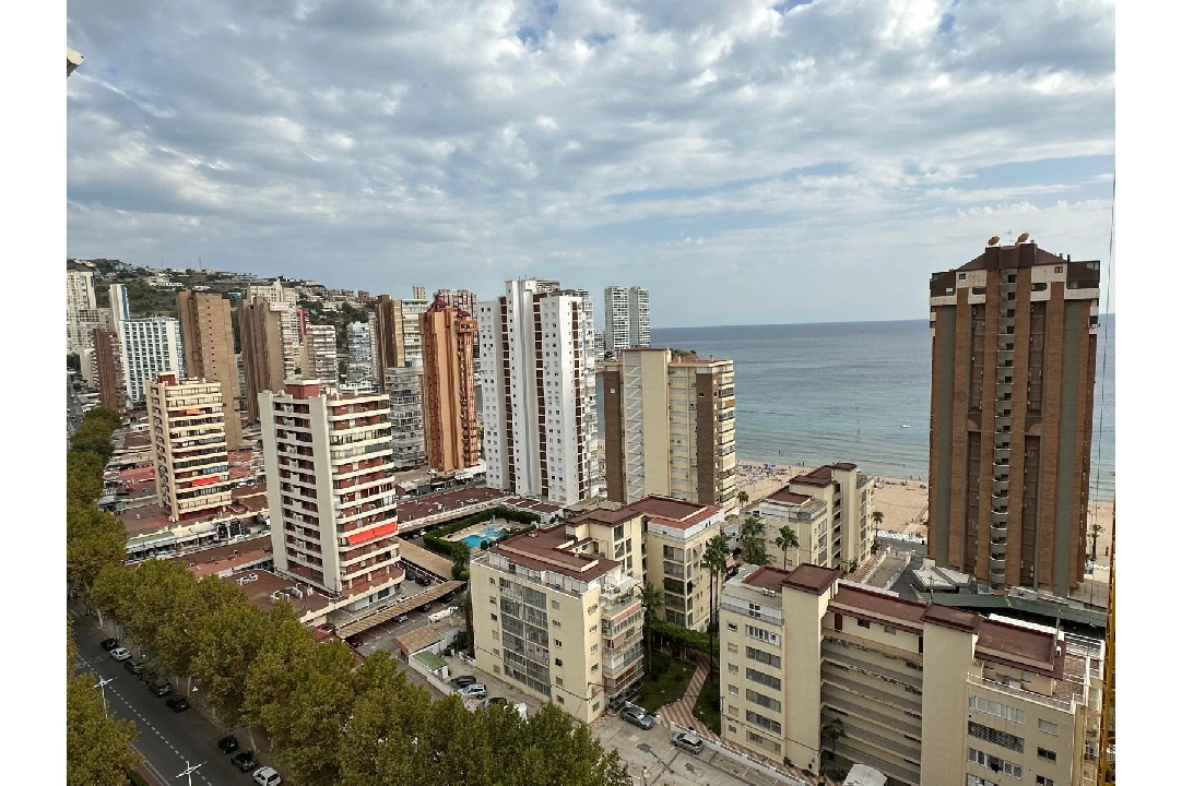 apartment in Benidorm(Avenida del Mediterraneo) for sale, built area 63 m², air-condition, 1 bedroom, 1 bathroom, swimming-pool, ref.: COB-13065-10535-3