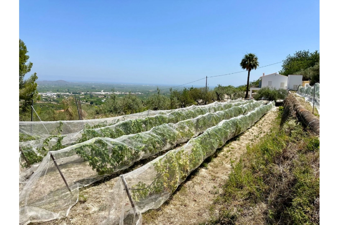 country house in Pego for sale, built area 83 m², year built 1947, air-condition, plot area 7080 m², 2 bedroom, 1 bathroom, swimming-pool, ref.: O-V91914-1