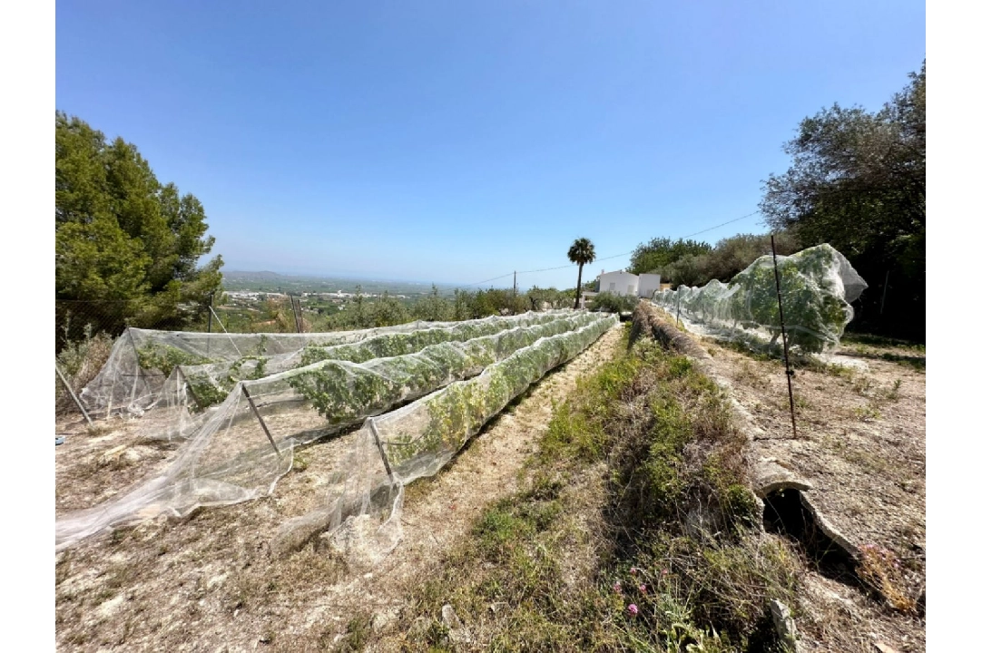 country house in Pego for sale, built area 83 m², year built 1947, air-condition, plot area 7080 m², 2 bedroom, 1 bathroom, swimming-pool, ref.: O-V91914-12