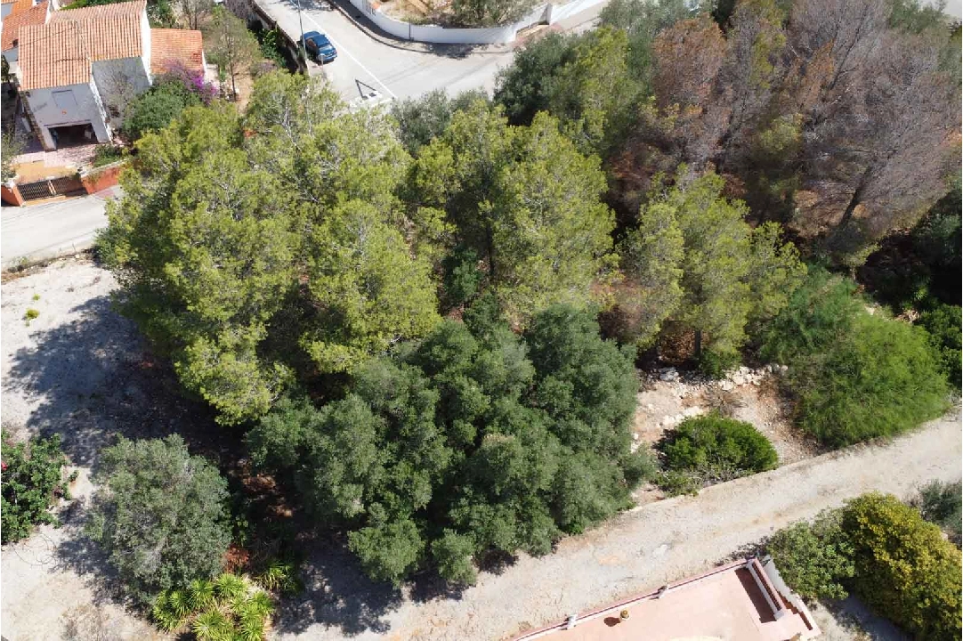 residential ground in Denia(Don Quijote) for sale, plot area 3034 m², ref.: BP-8192DEN-5