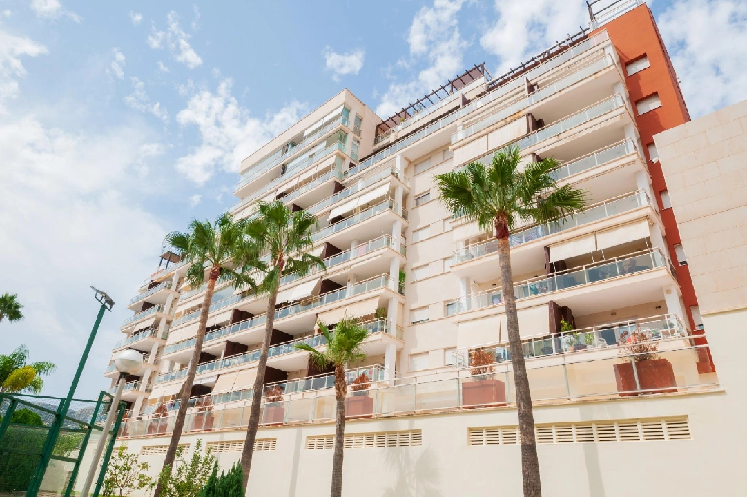 penthouse apartment in Calpe(Calpe) for sale, built area 117 m², air-condition, 3 bedroom, 2 bathroom, swimming-pool, ref.: COB-3473-10535-13