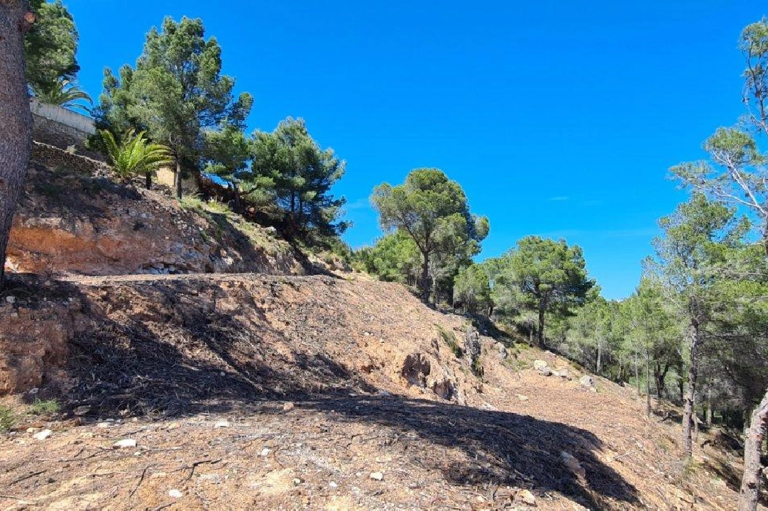 residential ground in Calpe for sale, air-condition, plot area 2500 m², ref.: AM-11750NS-3