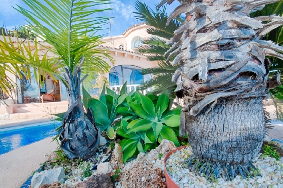 Villa in Moraira zu verkaufen, Wohnfläche 300 m², Baujahr 1984, Klimaanlage, Grundstück 1615 m², 3 Schlafzimmer, 2 Badezimmer, Pool, ref.: AM-12279DA-9