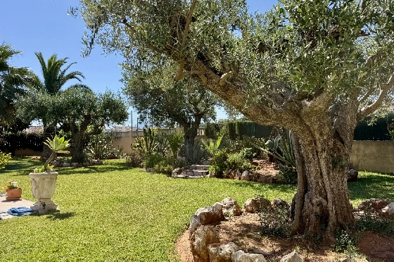 Villa in Els Poblets zu verkaufen, Wohnfläche 383 m², Baujahr 2002, Zustand gepflegt, + Fussbodenheizung, Klimaanlage, Grundstück 1821 m², 3 Schlafzimmer, 3 Badezimmer, Pool, ref.: RG-1126-31